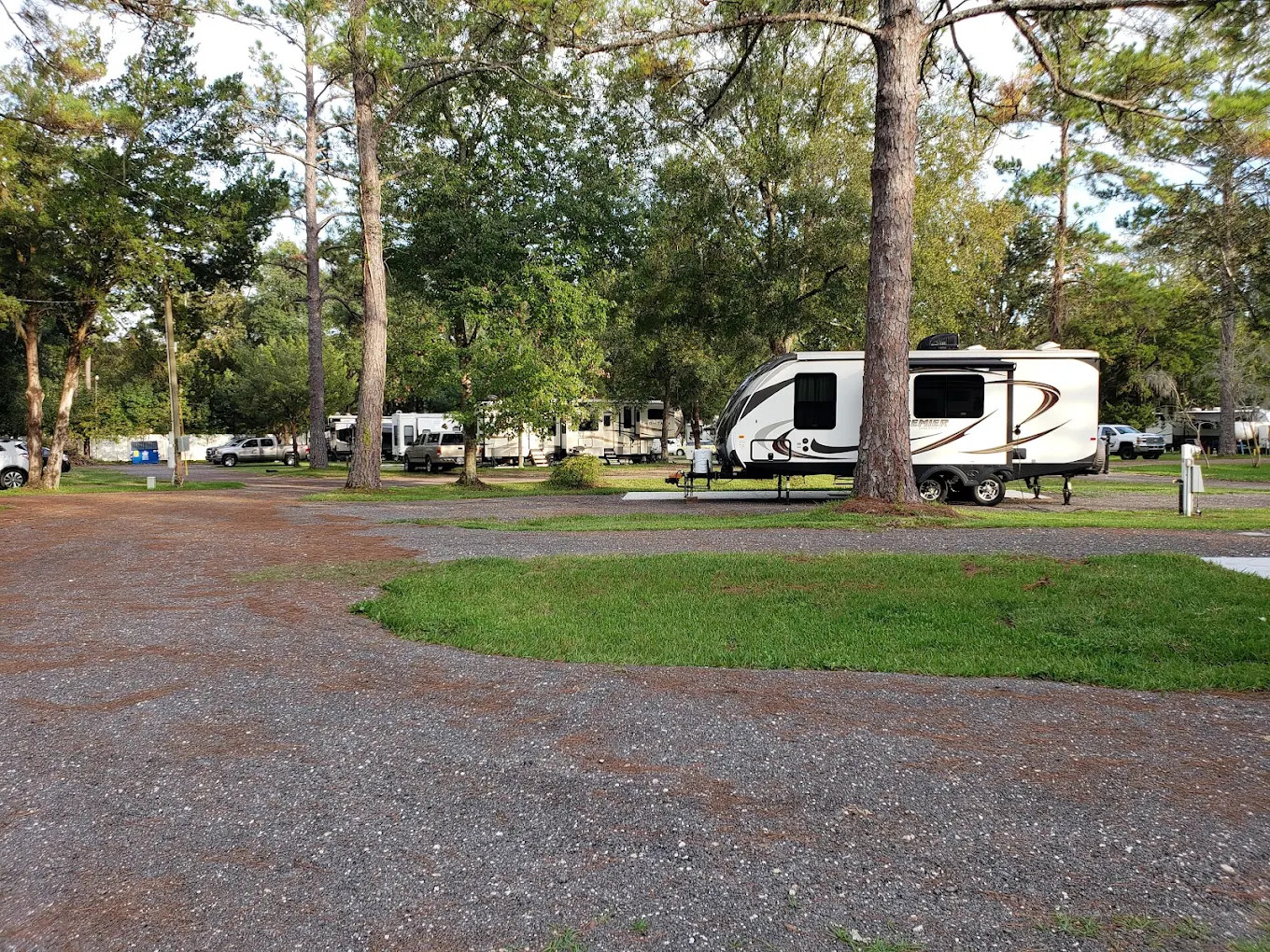 Big Tree RV Park