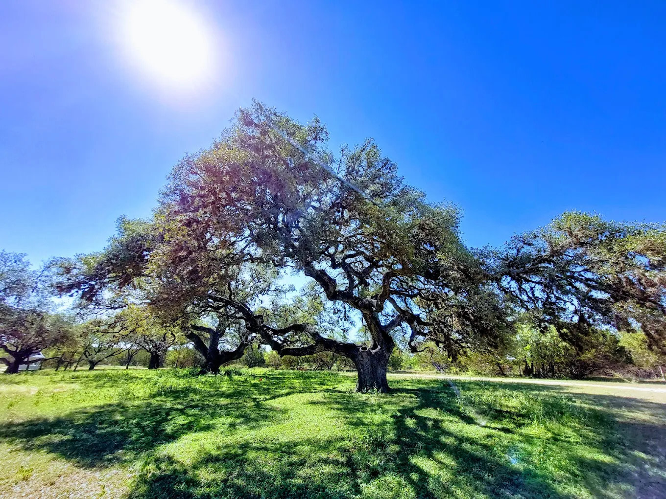 Skyline Ranch RV Park