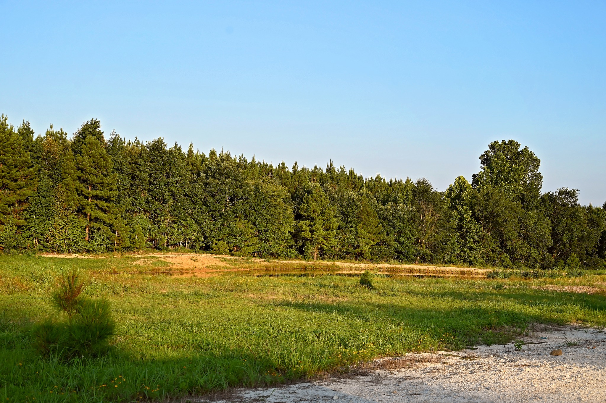 Secluded Pines RV Park and Mini Storage