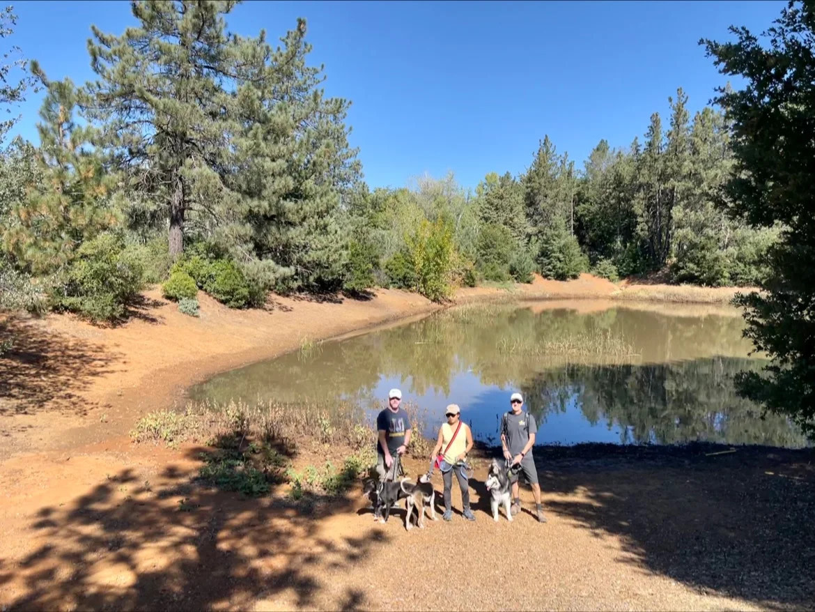 Pinezanita RV Park & Campgrounds