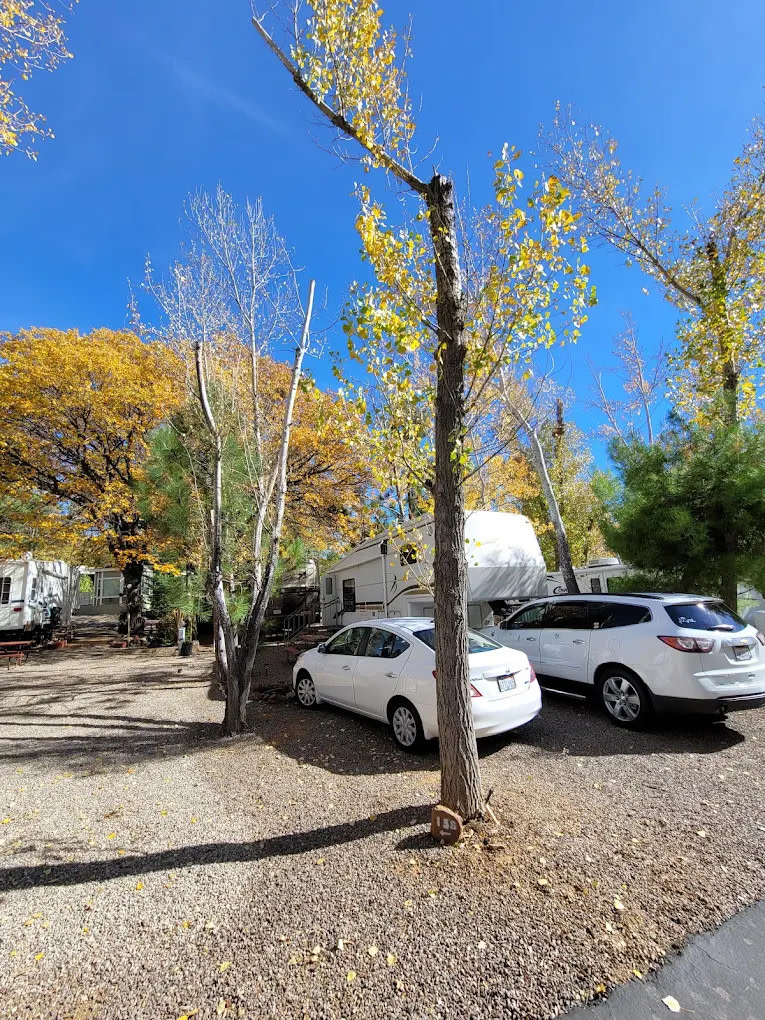 Pinezanita RV Park & Campgrounds