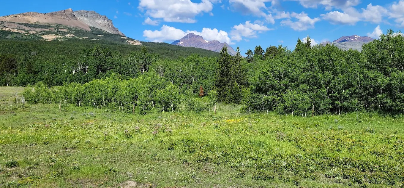 Red Eagle Campground
