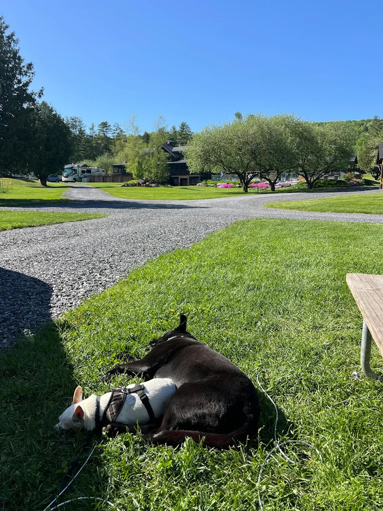 Mountain View Campground