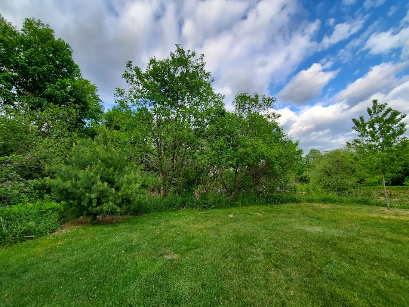 Mountain View Campground