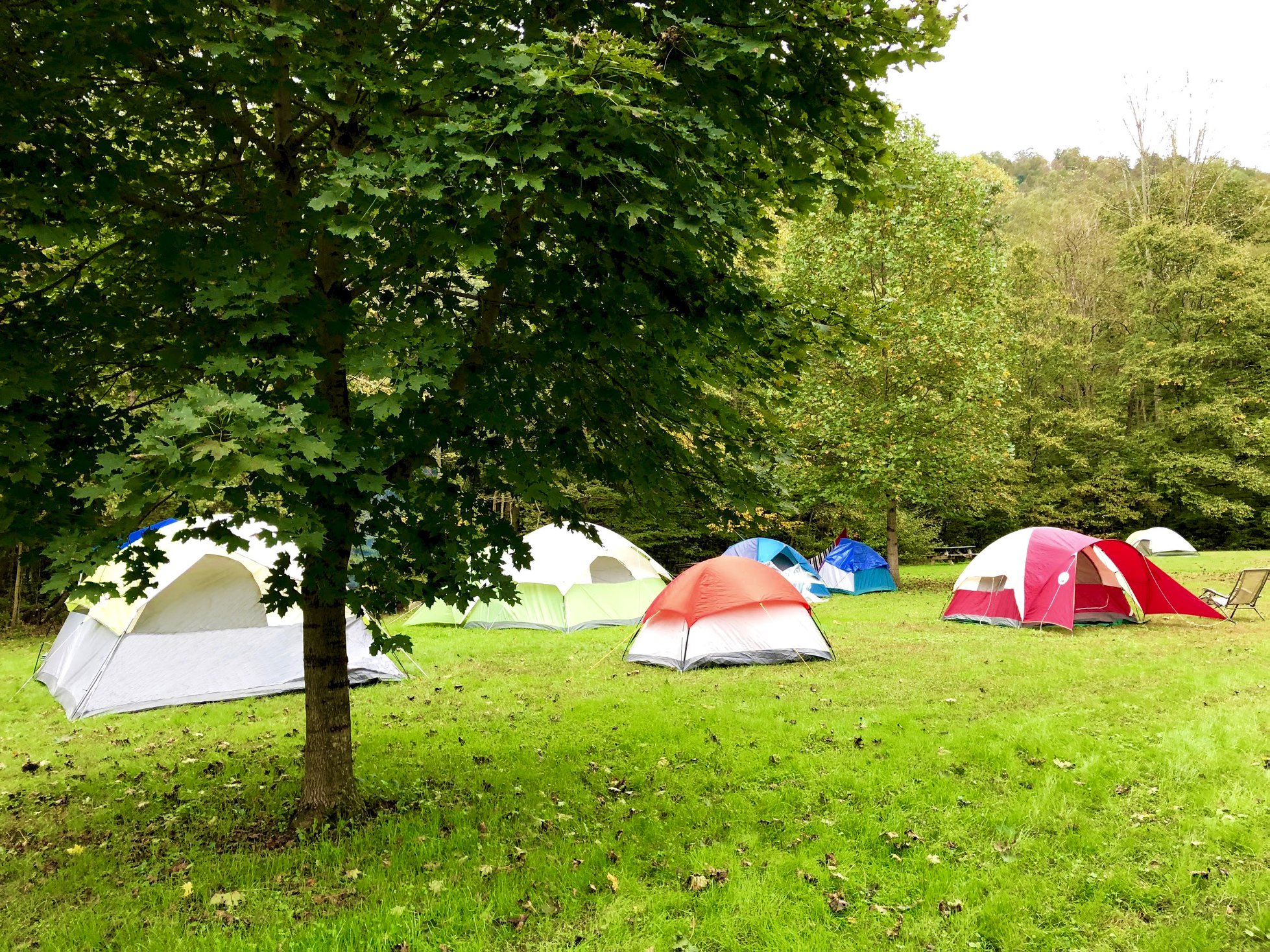Paddler's Lane Campground