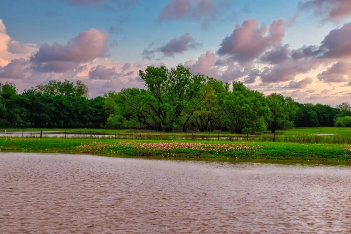 Lake Falling Star RV Resort