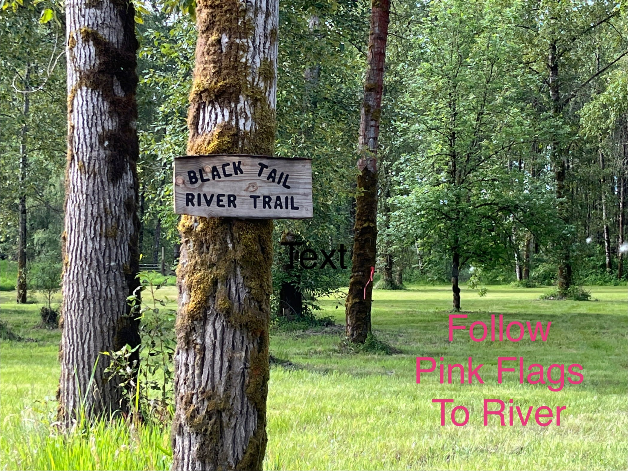 J Squared River Ranch