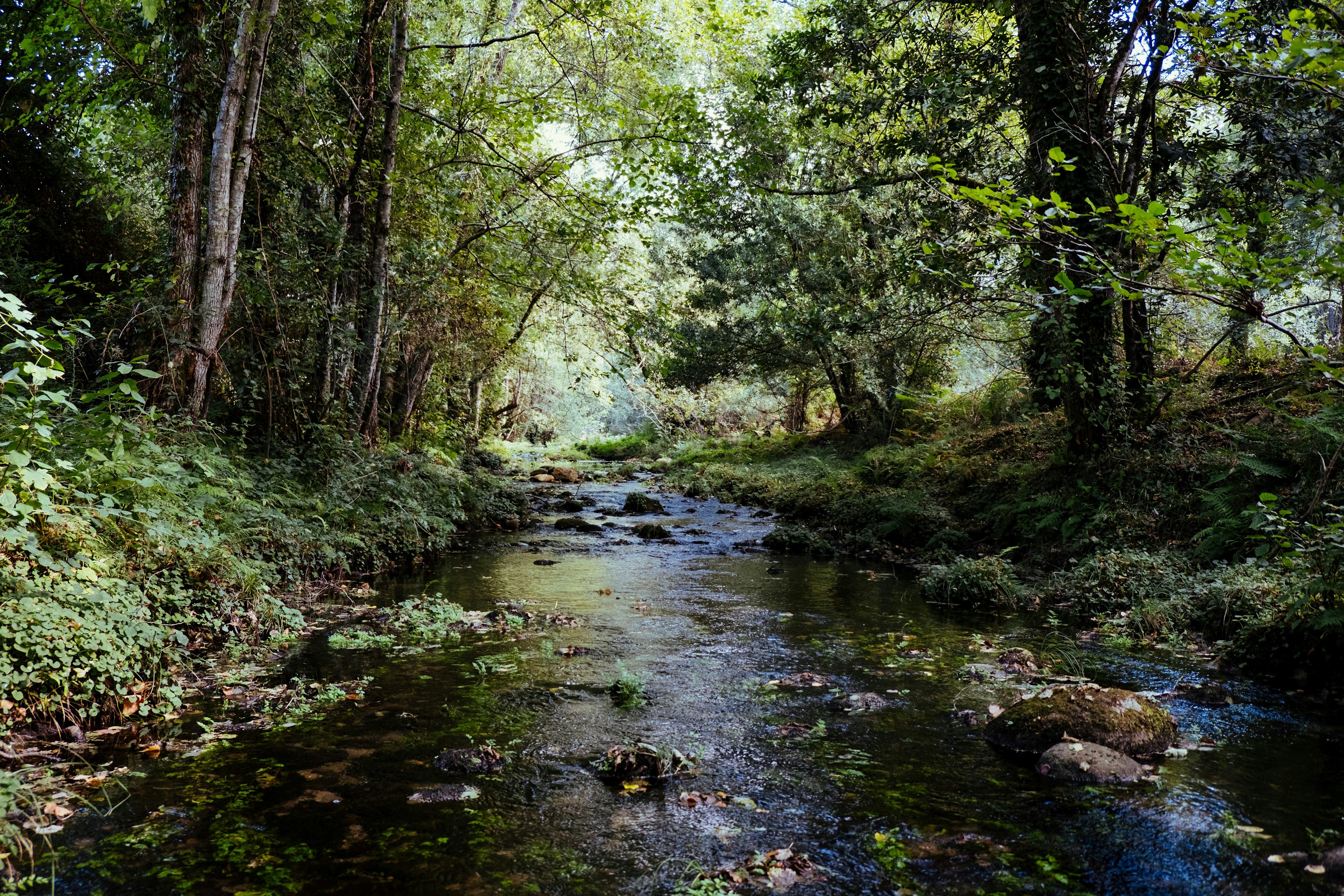 Sinking Creek Ranch