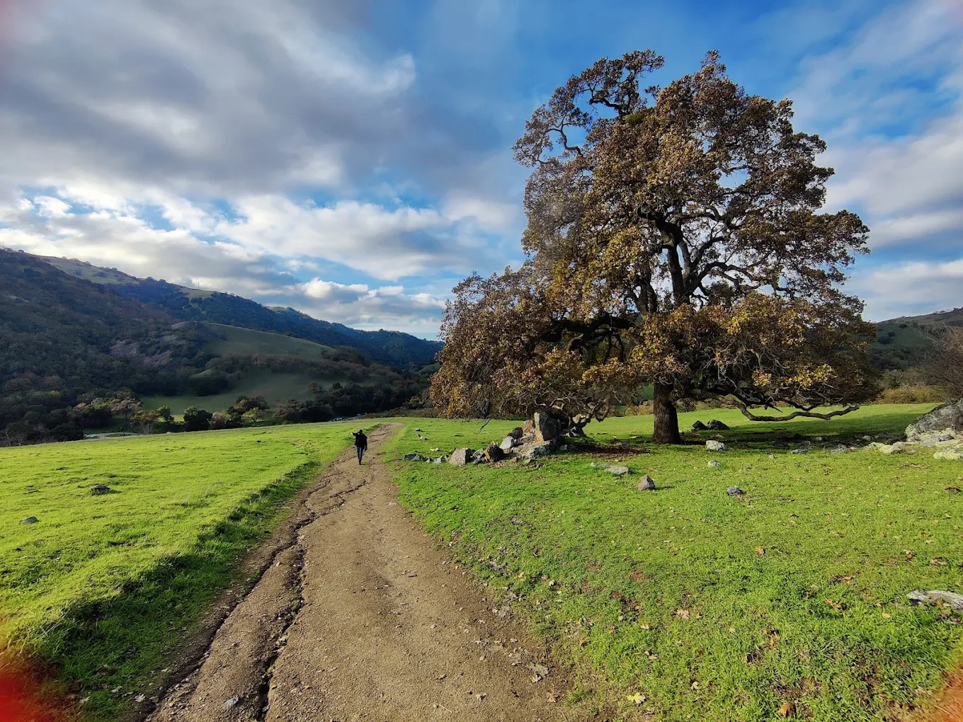 Sunol Regional Wilderness