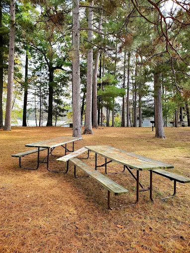 Collins Park Portage County Park