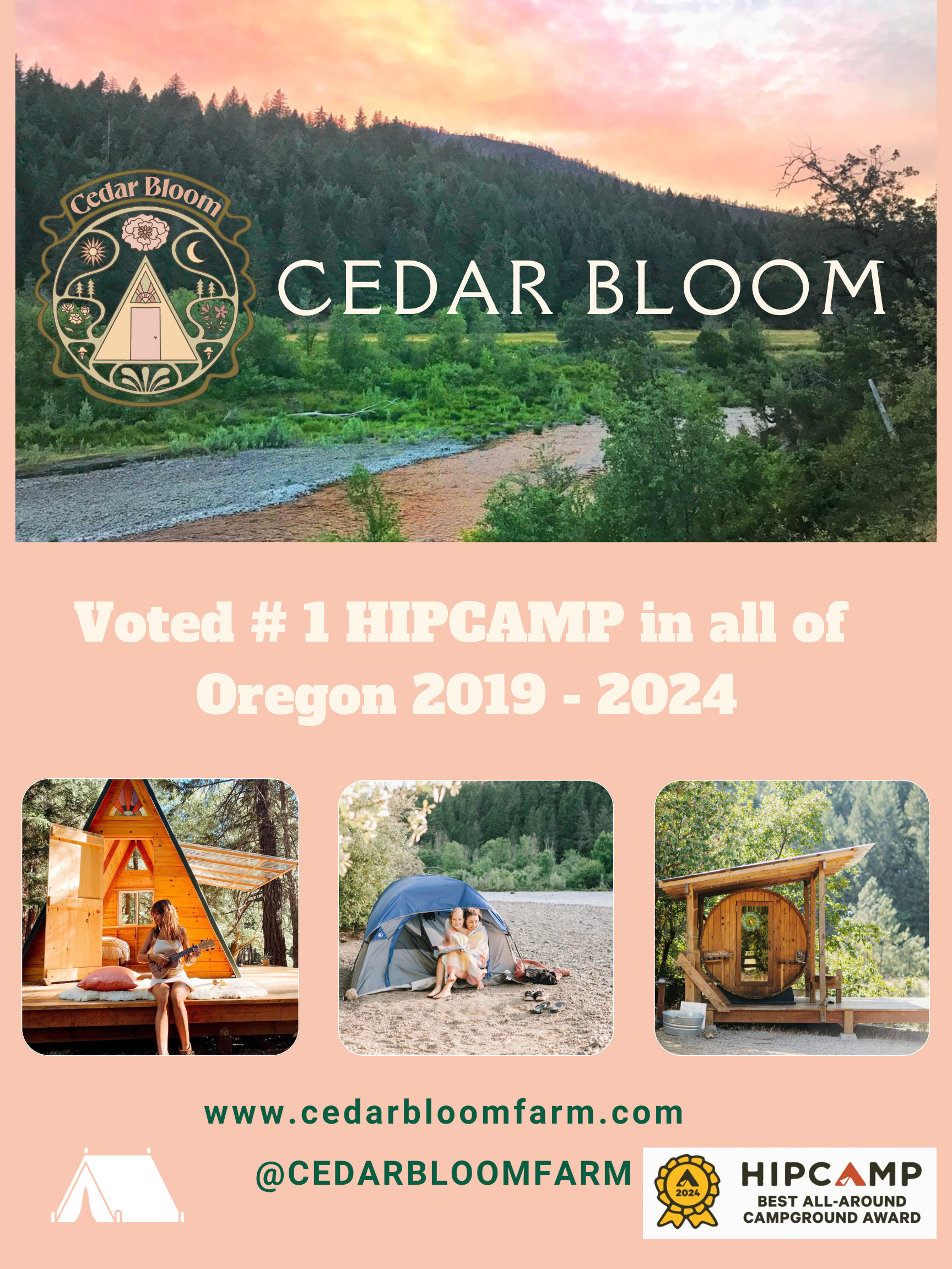 Cedar Bloom