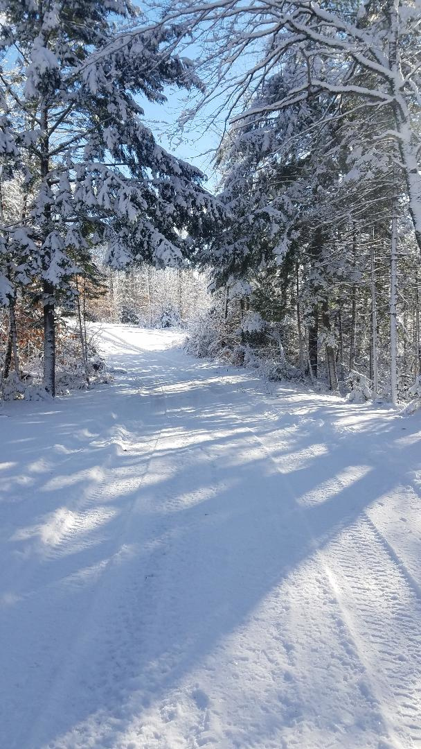 Sleeping Bear Campground & Cabins