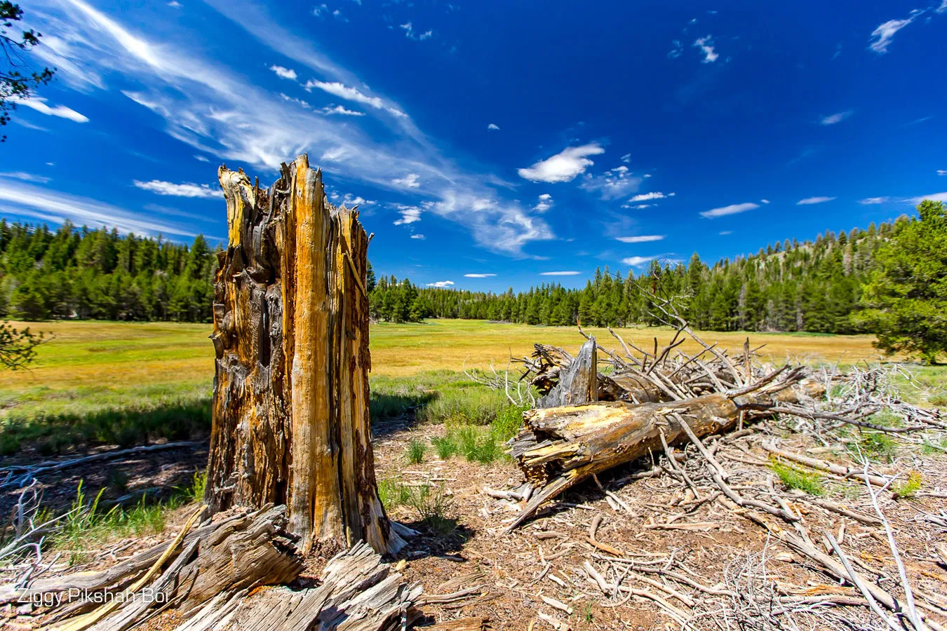 Kennedy Meadows Campground