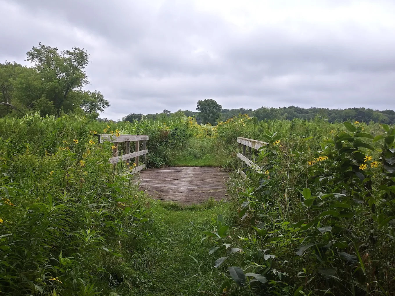 Token creek campground