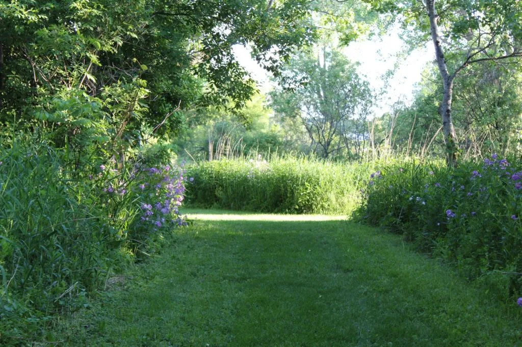 Token creek campground