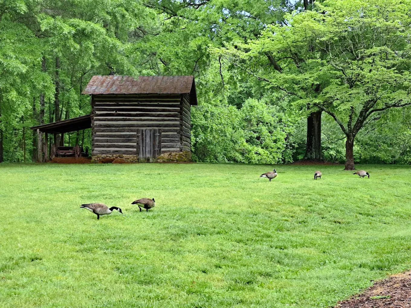 Hagan-Stone Park