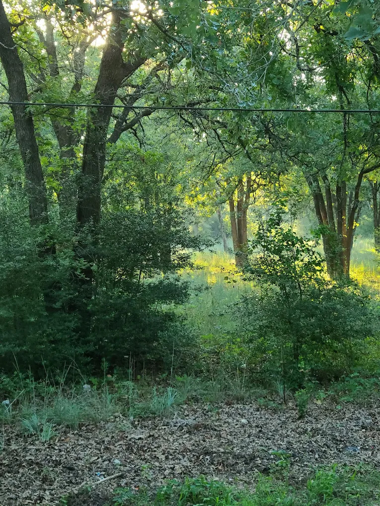 Shady Grove RV Park