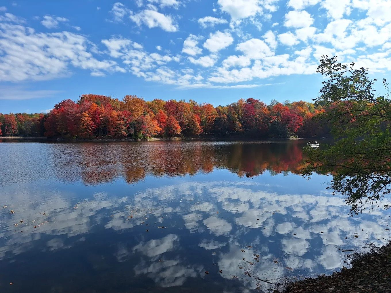 Faun Lake Deed Restricted