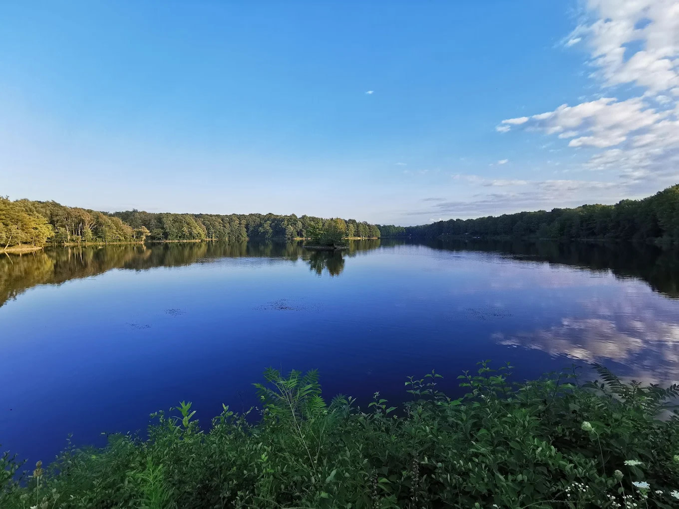 Faun Lake Deed Restricted