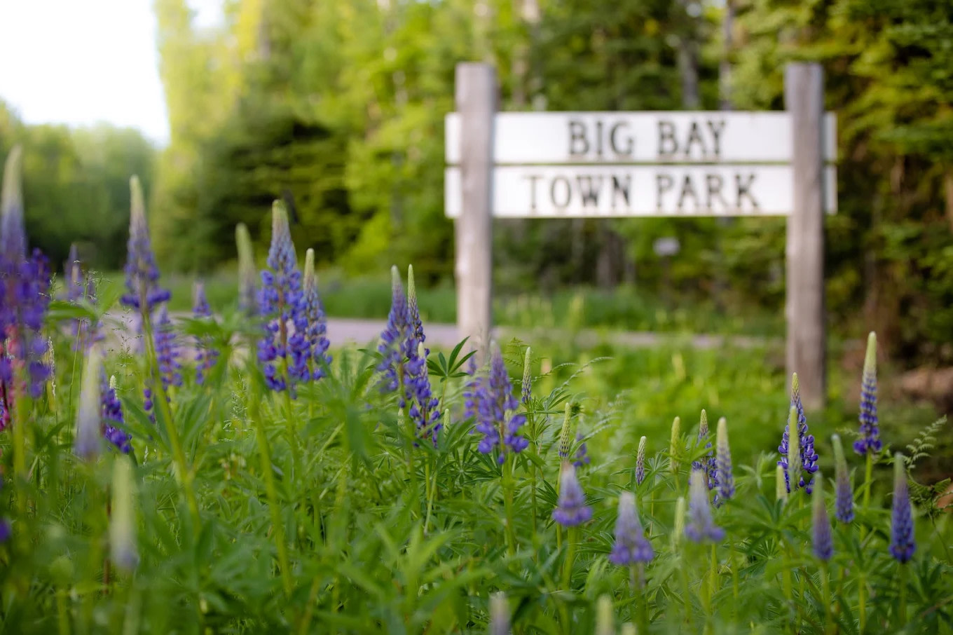 Big Bay Town Park