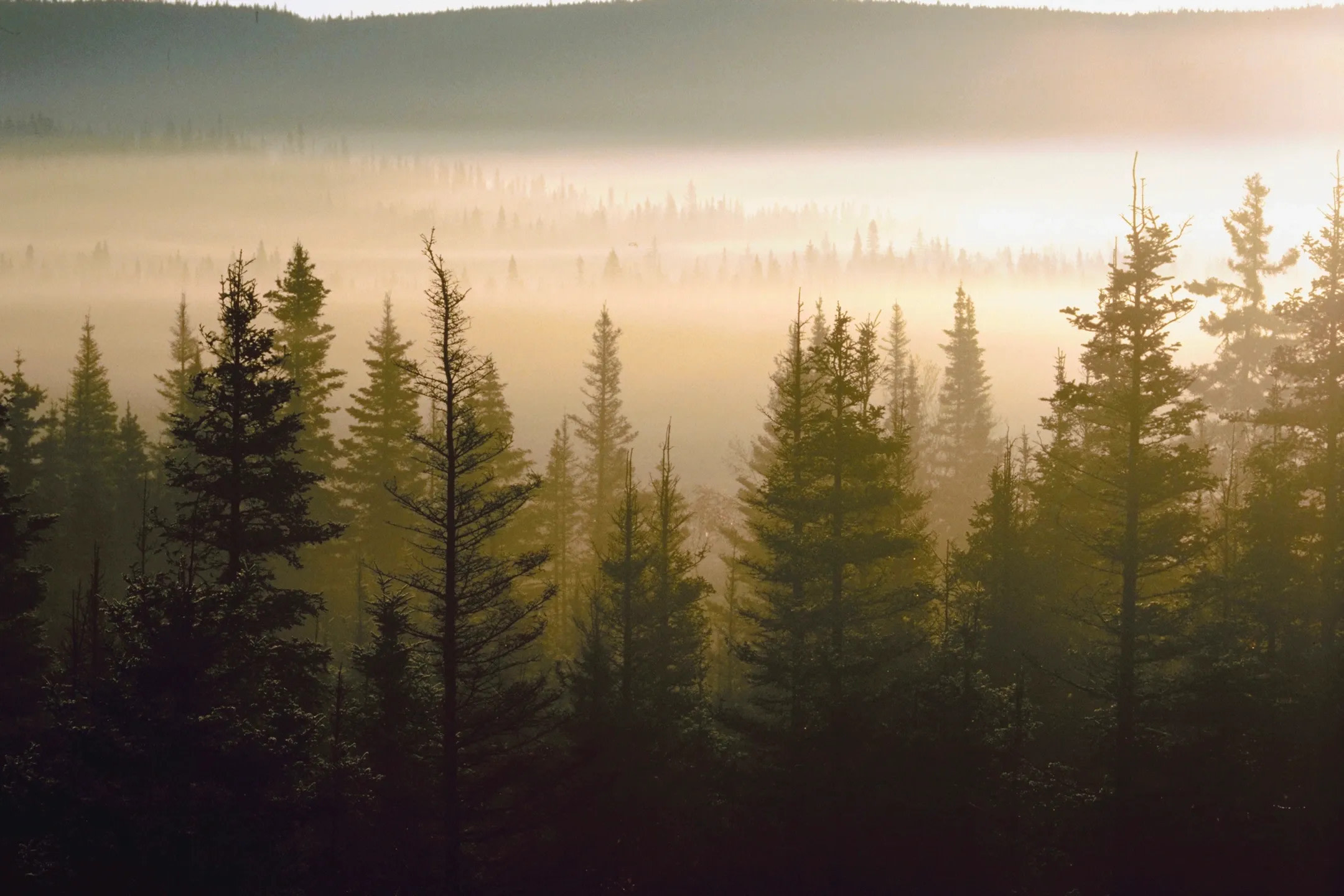 Lost Pines RV Park