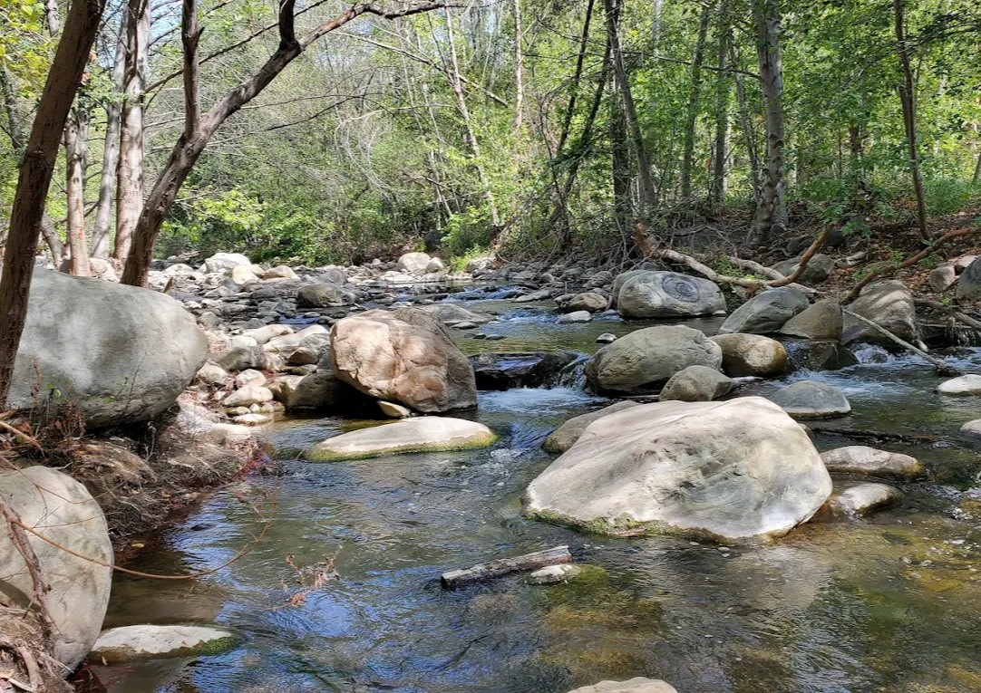 Steckel Park County Campground
