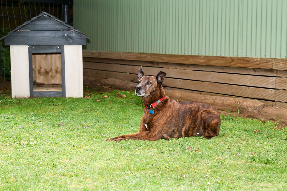 Pine Country Caravan Park