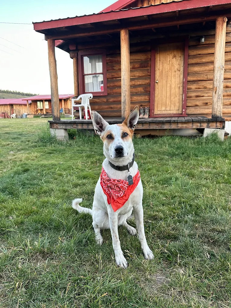 Hoback River Lodge