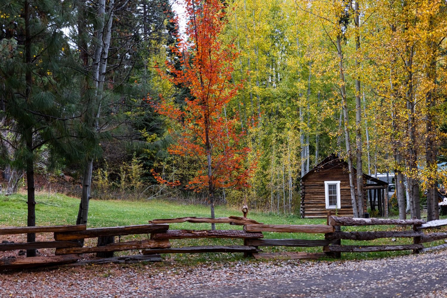 Harriman Springs Resort and Marina