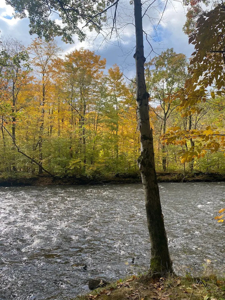 Stoney's Pineville Campground