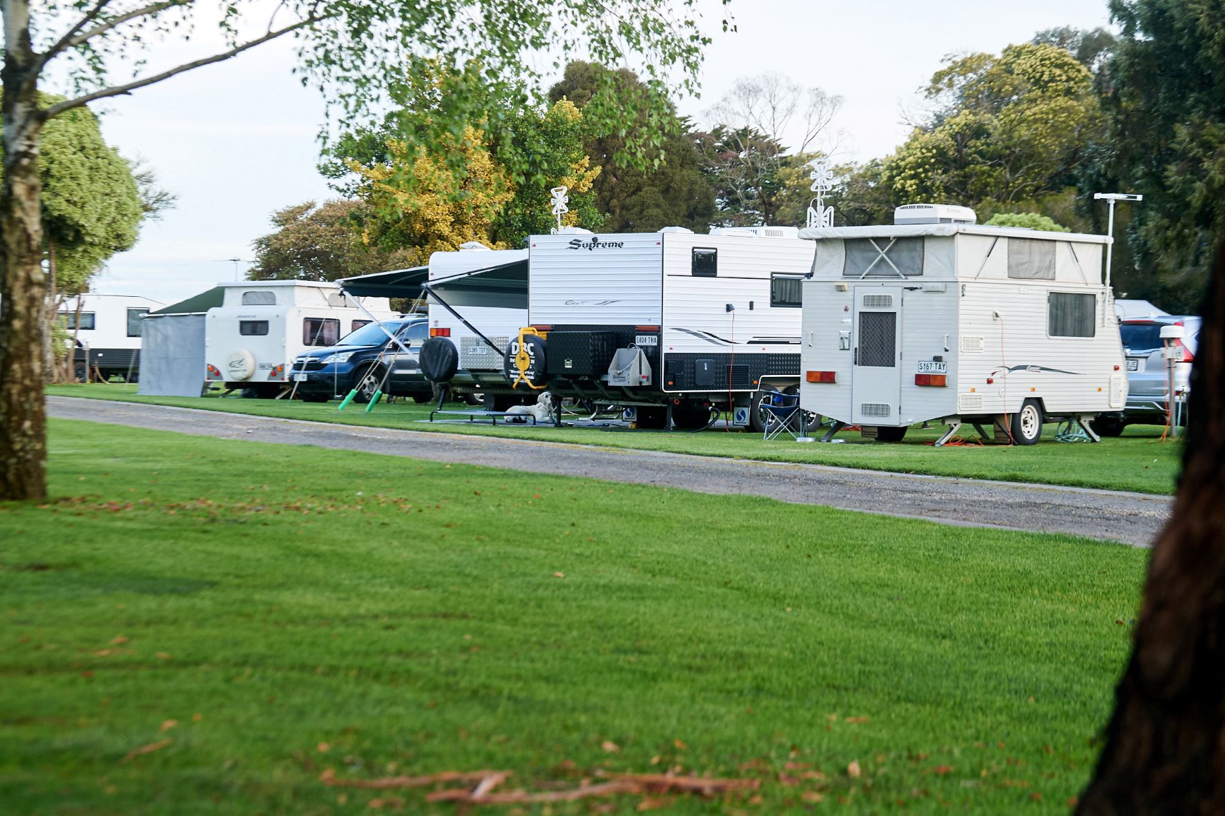 Pine Country Caravan Park