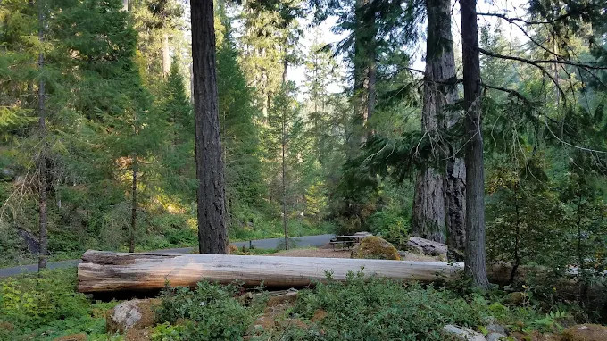 Caves Creek Campground