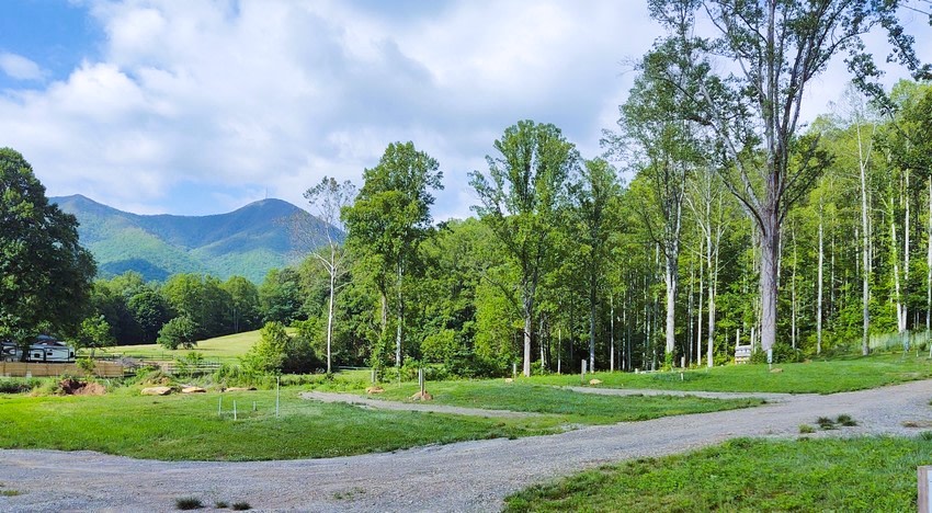 Stony Fork Creek RV Park