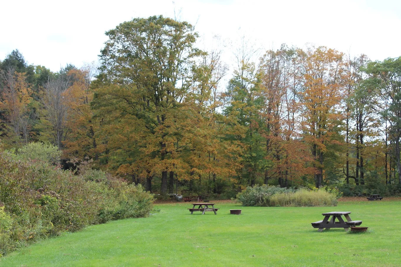 Stratton Falls Campsite
