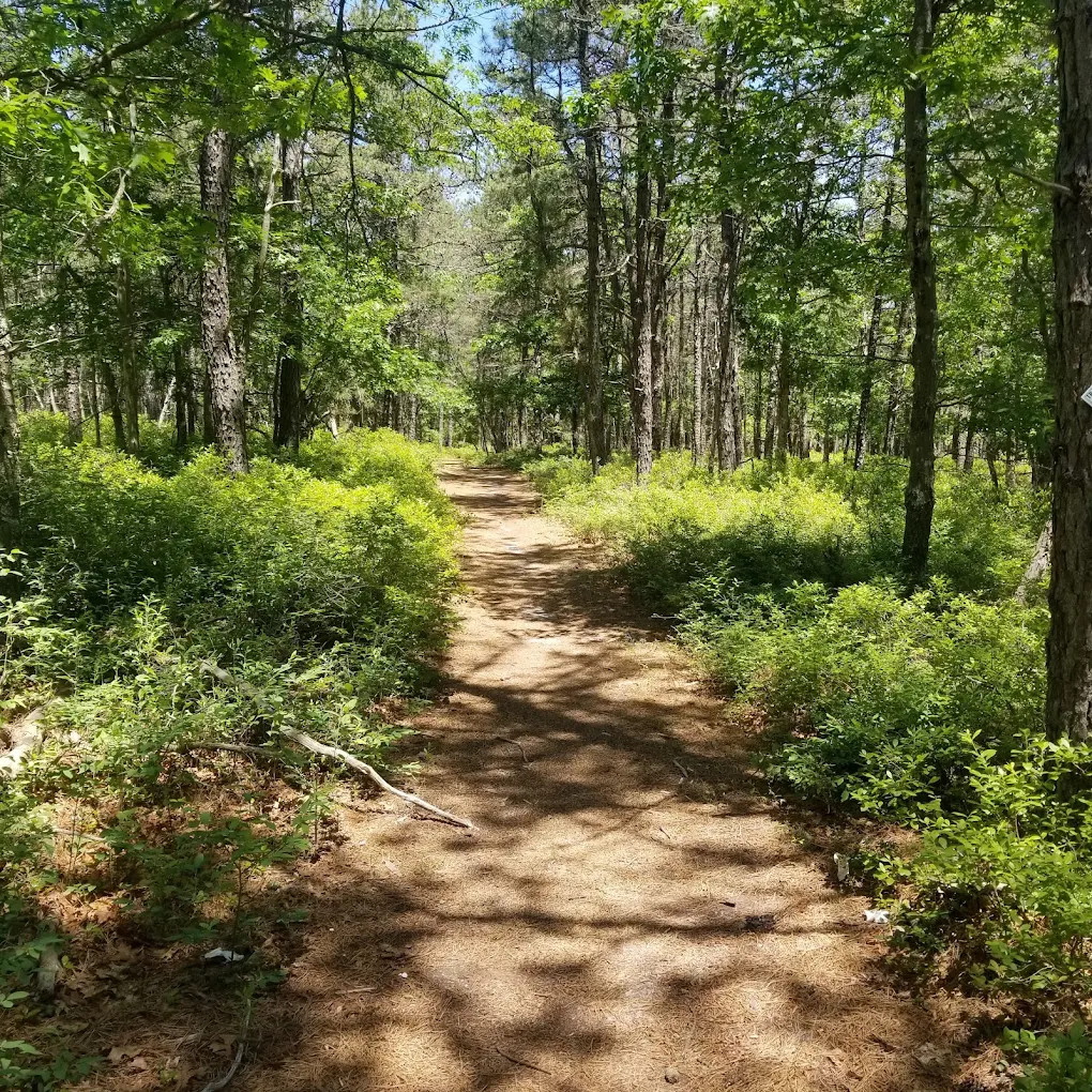 Sears Bellows County Park
