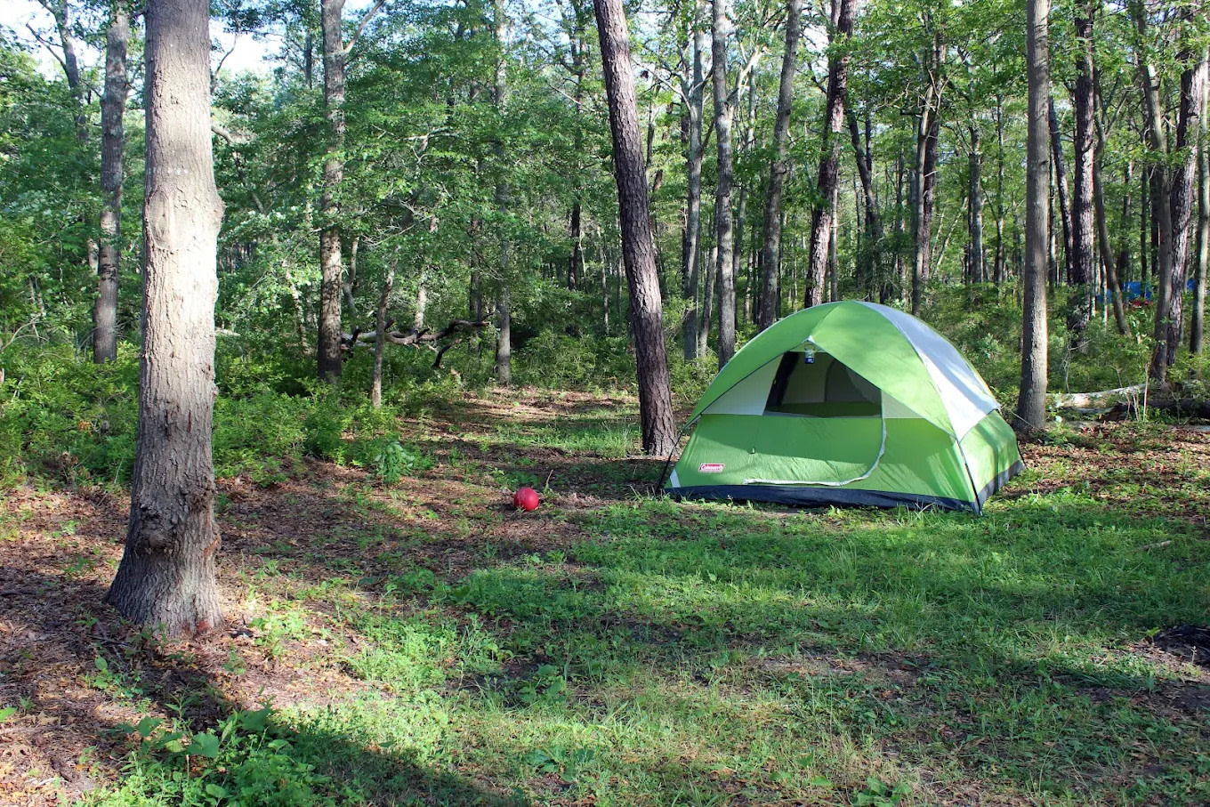 Sears Bellows County Park