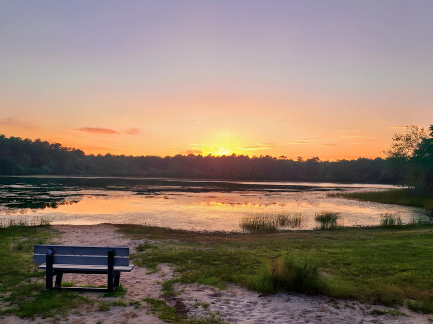 Sears Bellows County Park