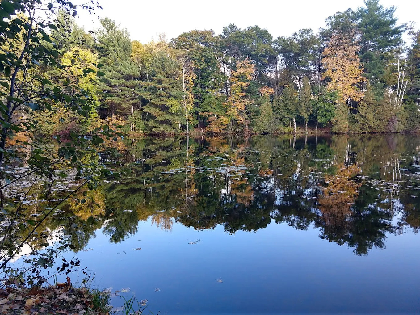 Pine Point County Park