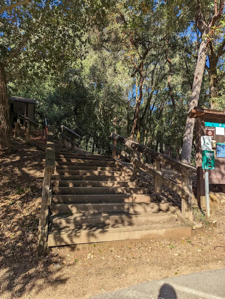 Uvas Canyon County Park