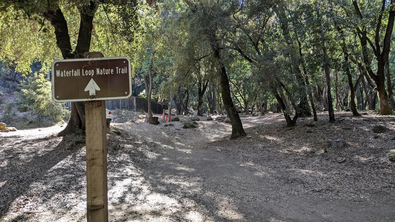 Uvas Canyon County Park