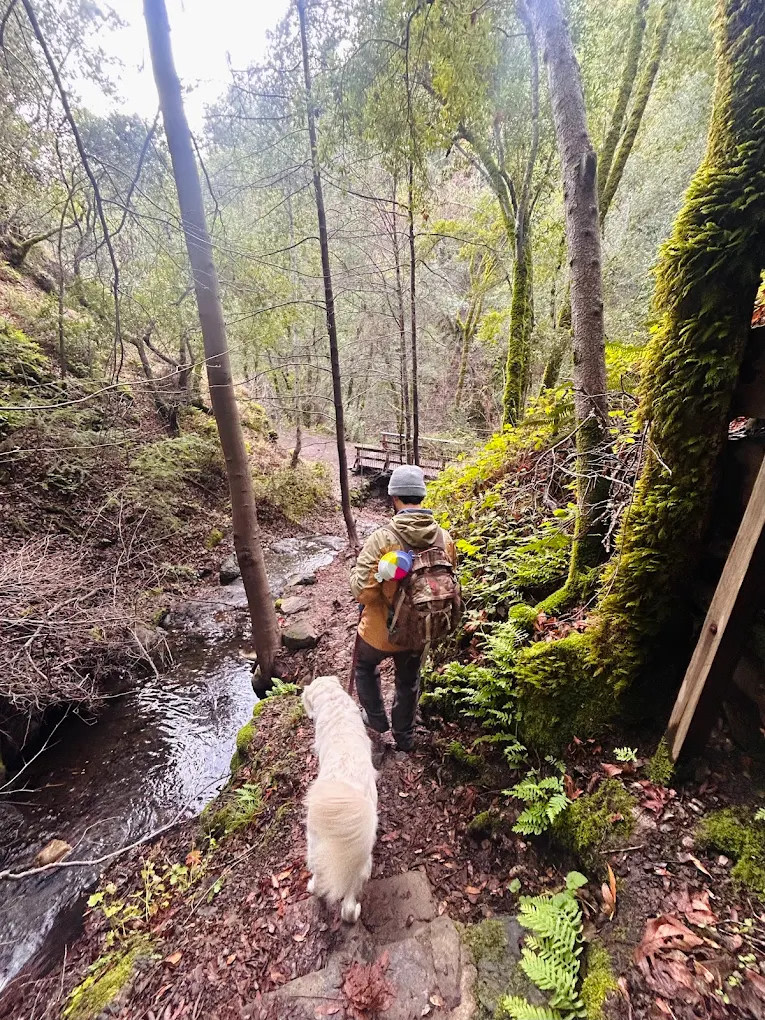 Uvas Canyon County Park
