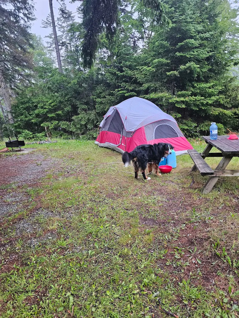 Wolf Point Campground