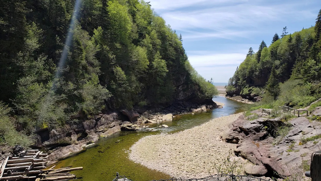 Wolf Point Campground