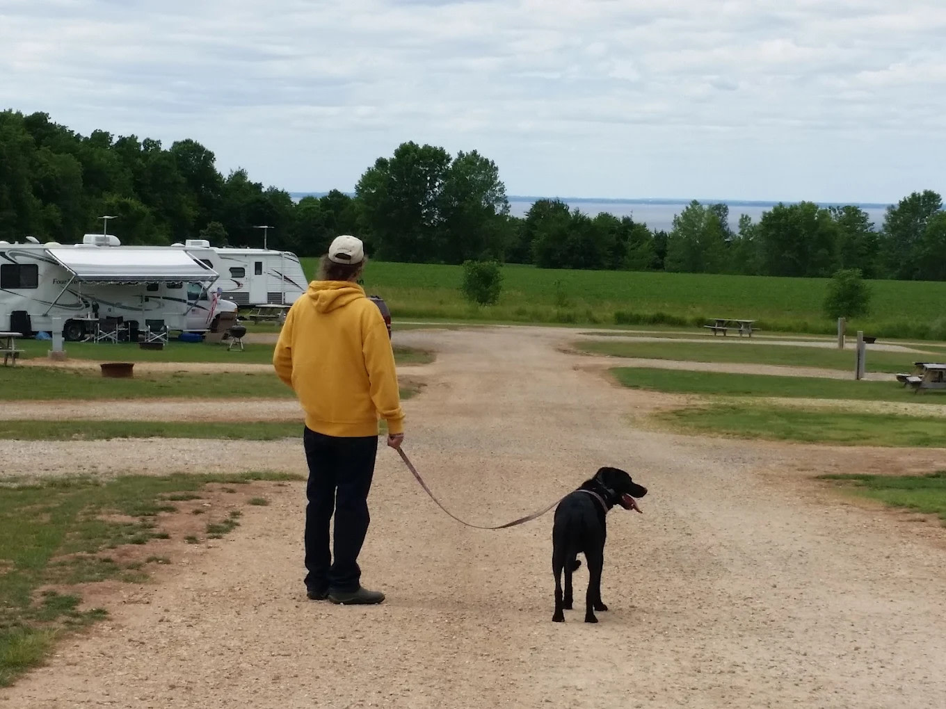 Lakeview RV Park and Cabins