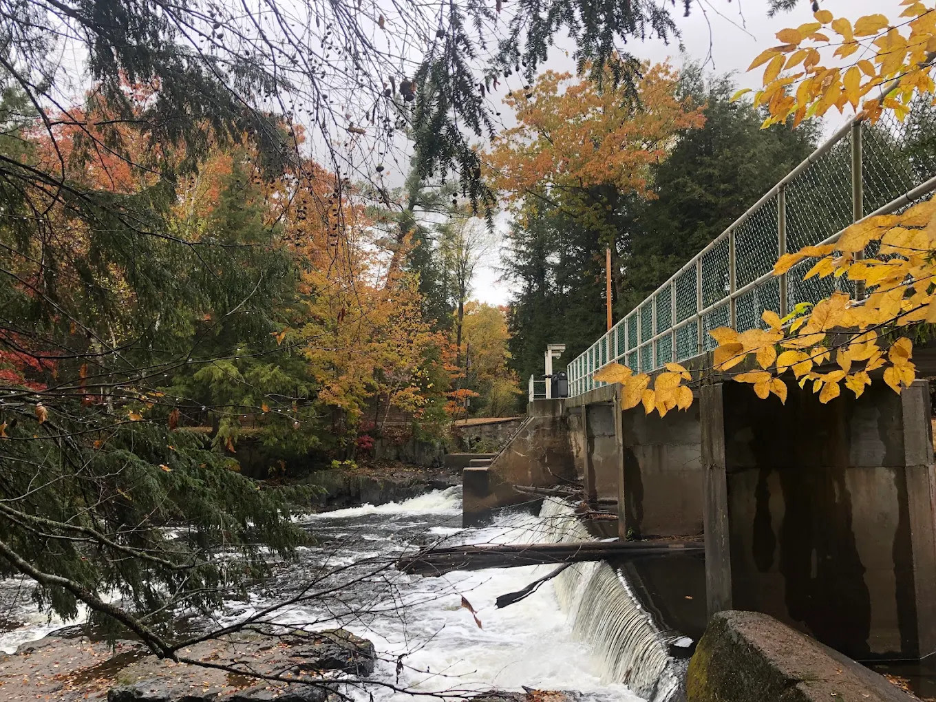 Dells of the Eau Claire Park