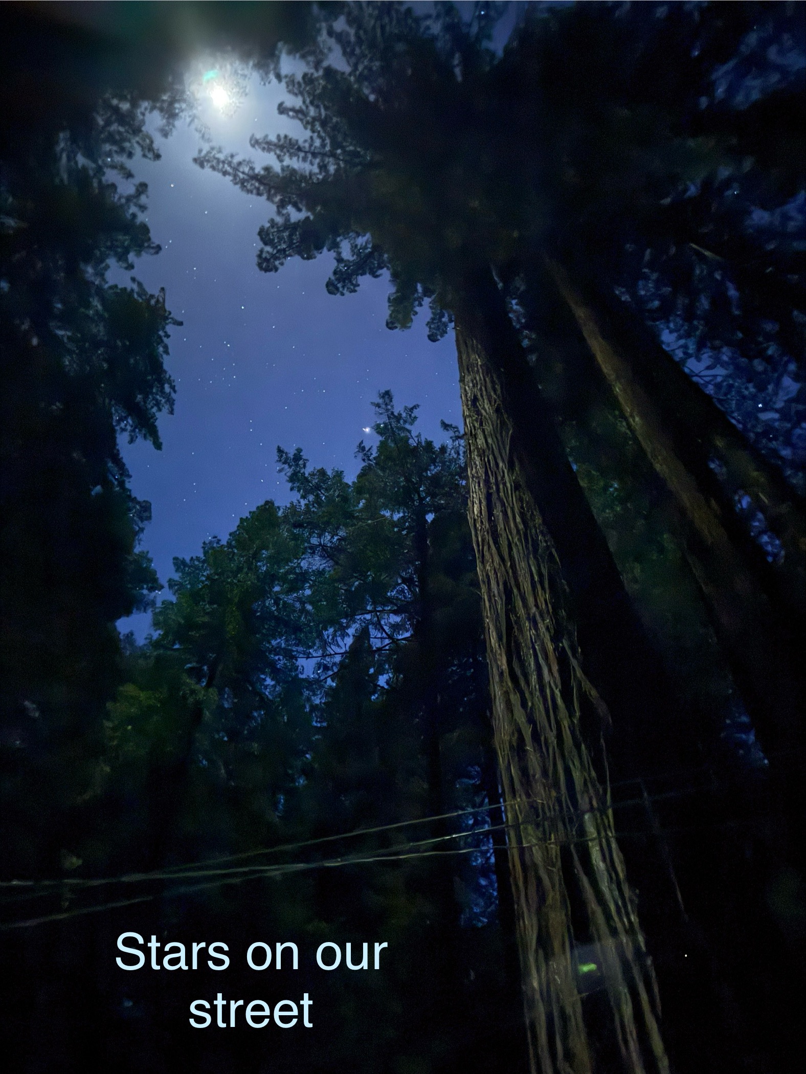 Big Family Cabin Eel River Redwood