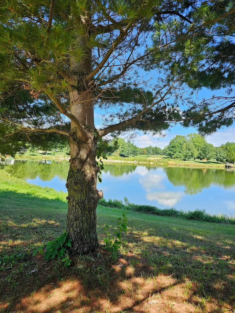 Crazy Horse Campground, L.L.C.