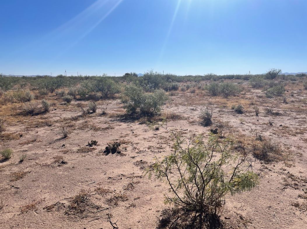 Desert Off Grid, Dry Camping