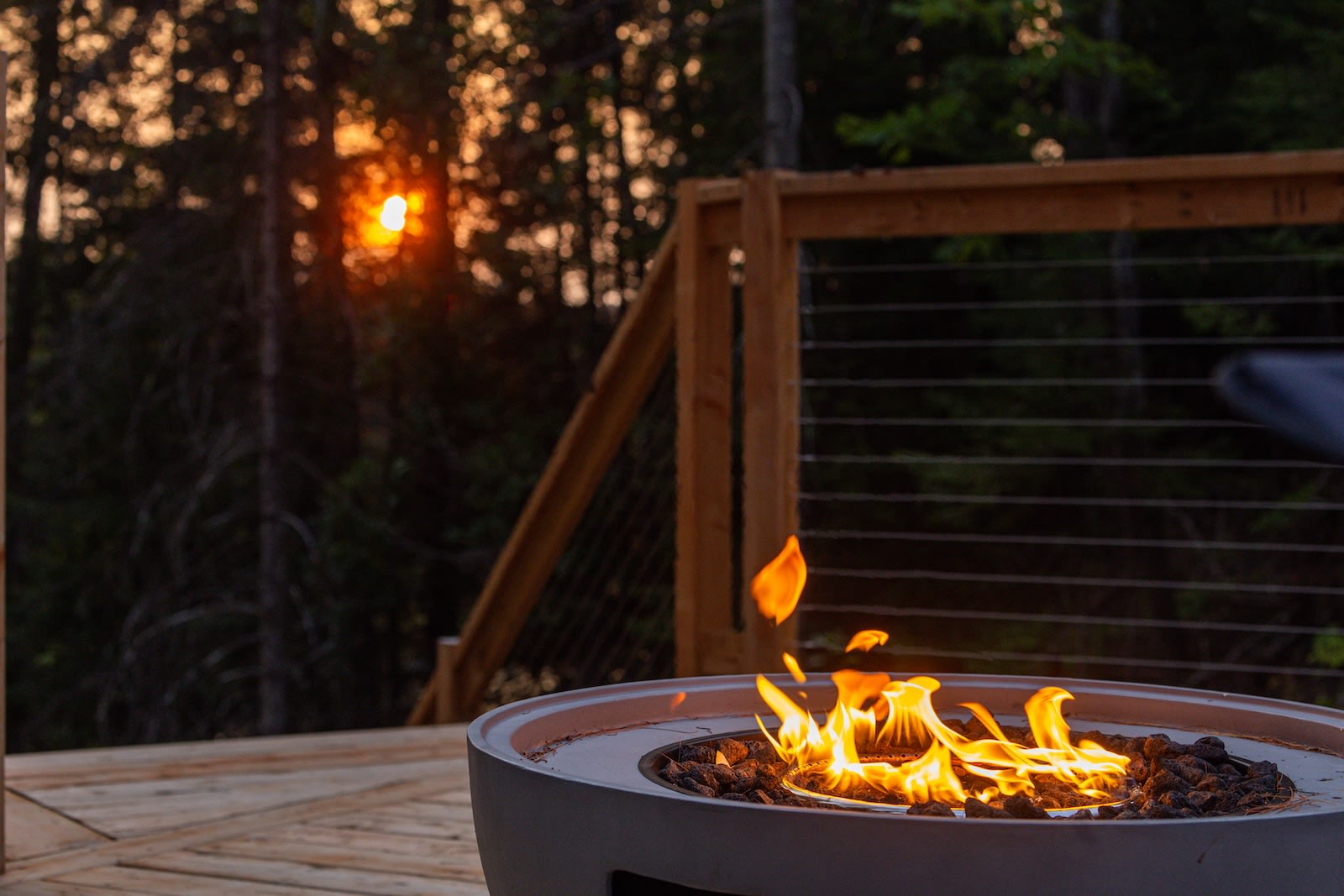 Wildwood Nature Escape