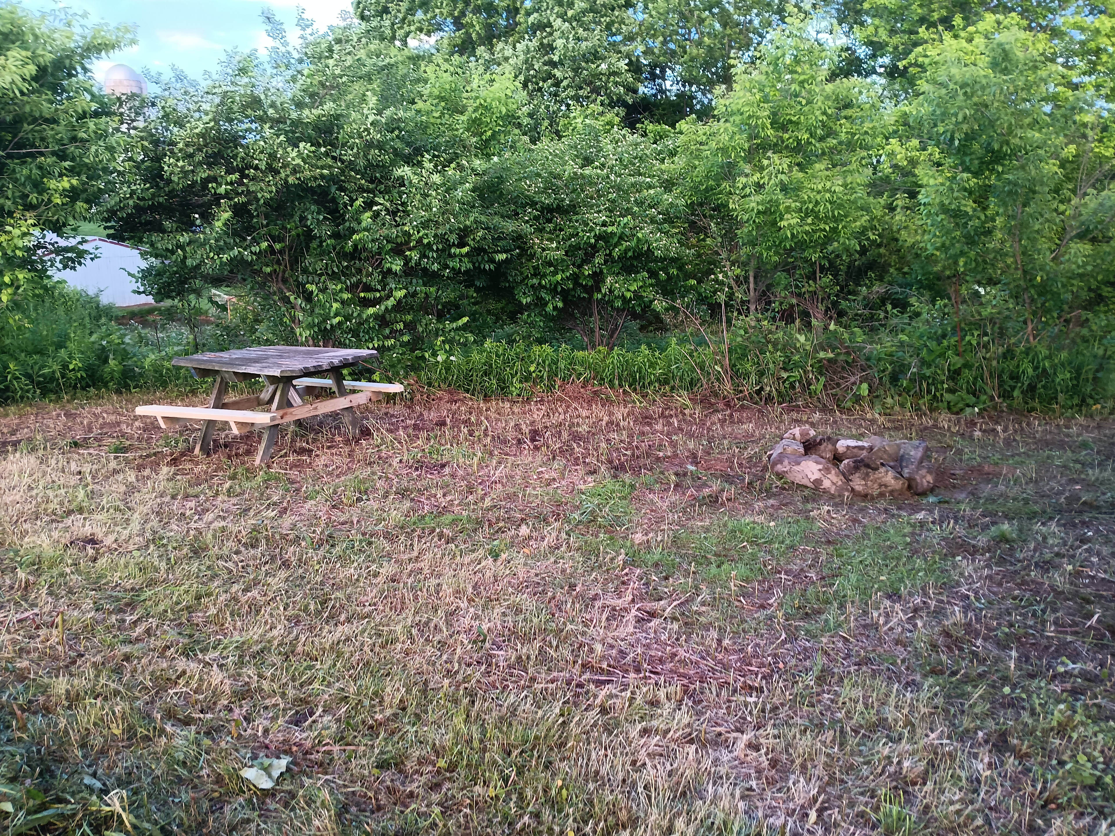 Campsite has picnic table and stone fire ring. 